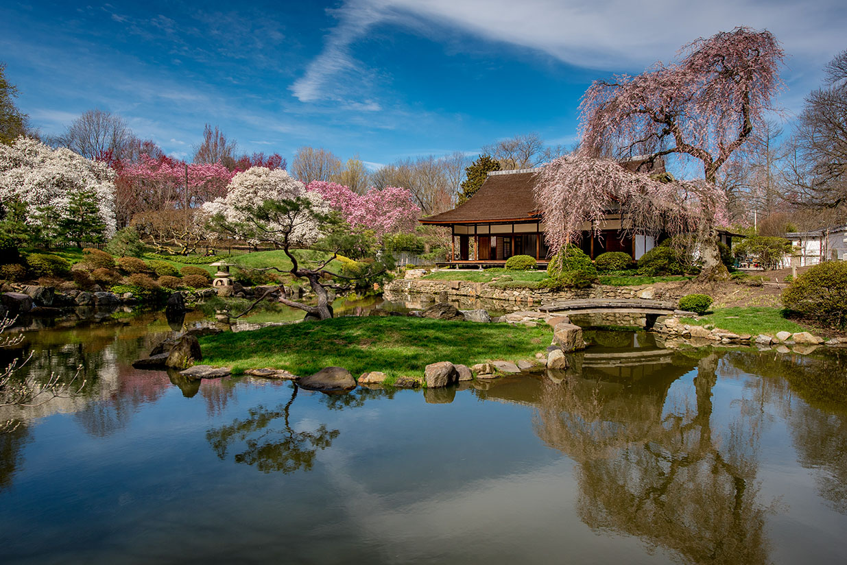 Subaru Cherry Blossom Festival of Greater Philadelphia – Japan America ...