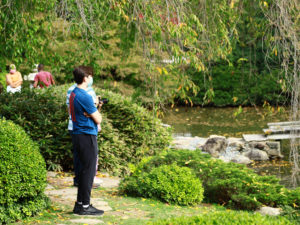Young man with blue shirt, face mask, standing and viewing the pond at Shofuso.